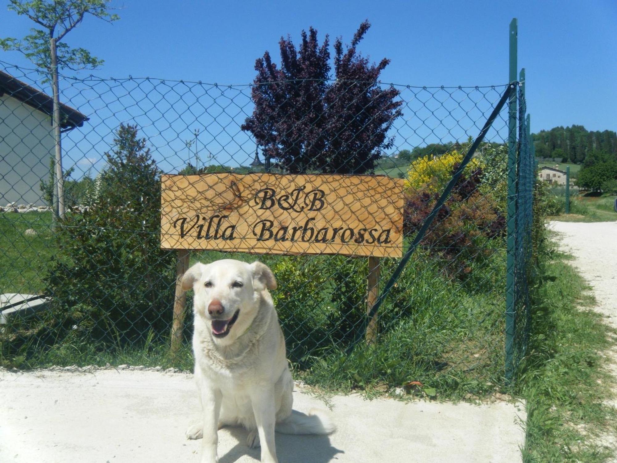 B&B Villa Barbarossa Petrignano ภายนอก รูปภาพ