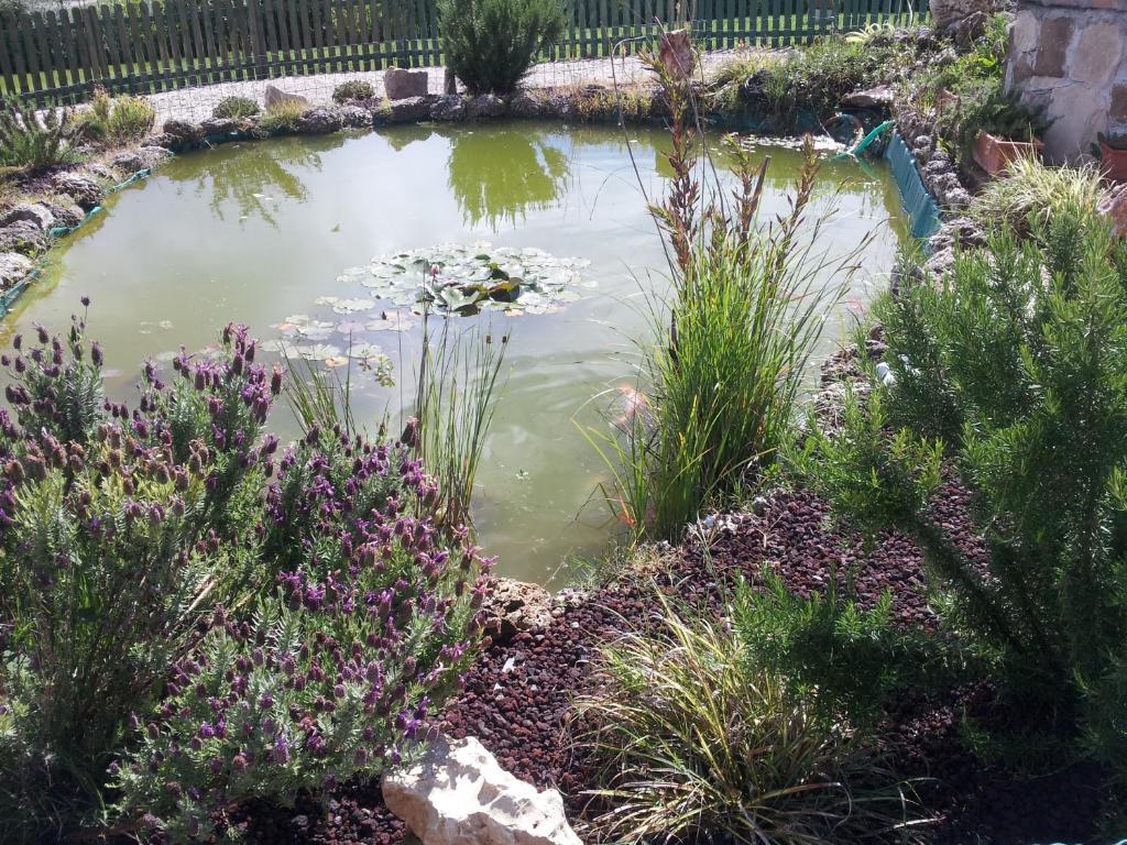 B&B Villa Barbarossa Petrignano ภายนอก รูปภาพ
